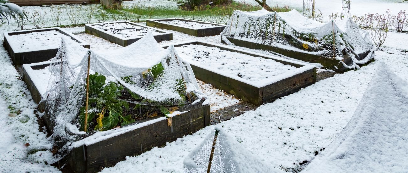 Ako spustiť HOTBIN v zime? Zimné kompostovanie krok za krokom